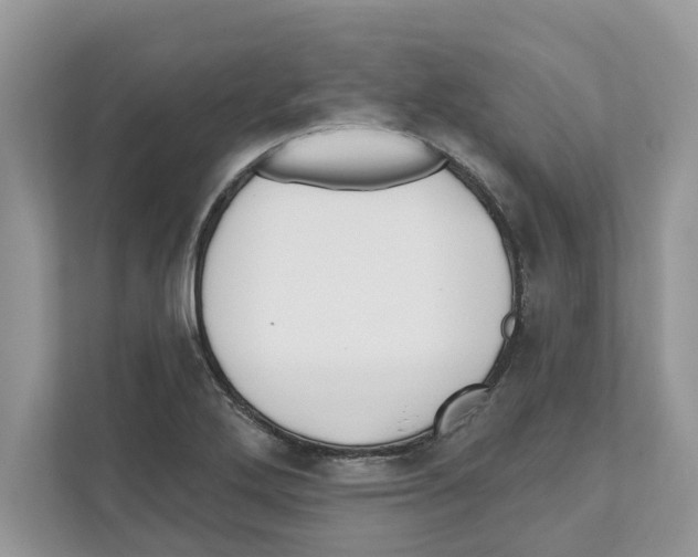 X0000110921272200907161511