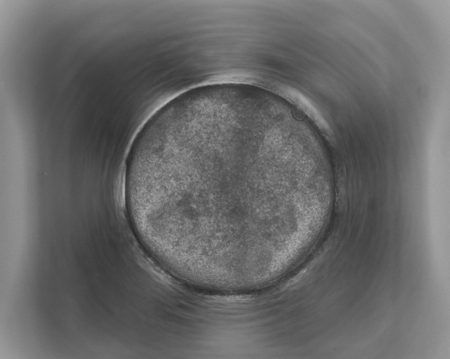 X0000110921276200907161511
