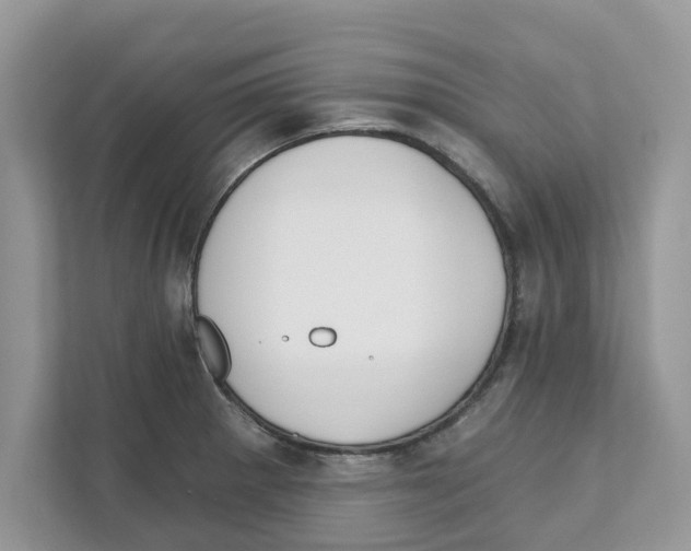 X0000110921281200907161511