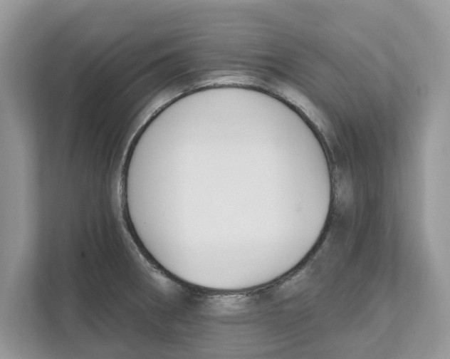 X0000110921282200907161511