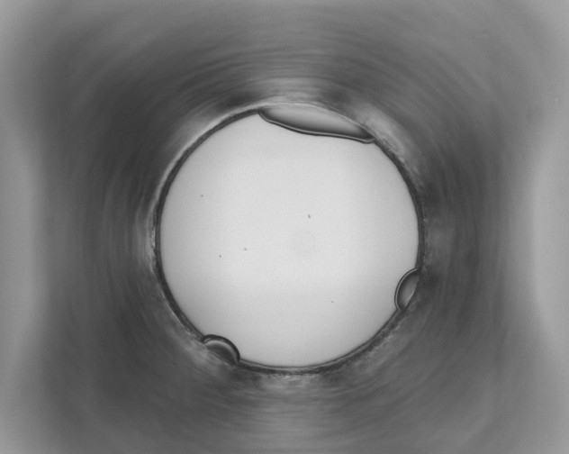 X0000110921284200907161511