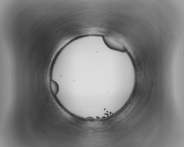 X0000110921285200907161511