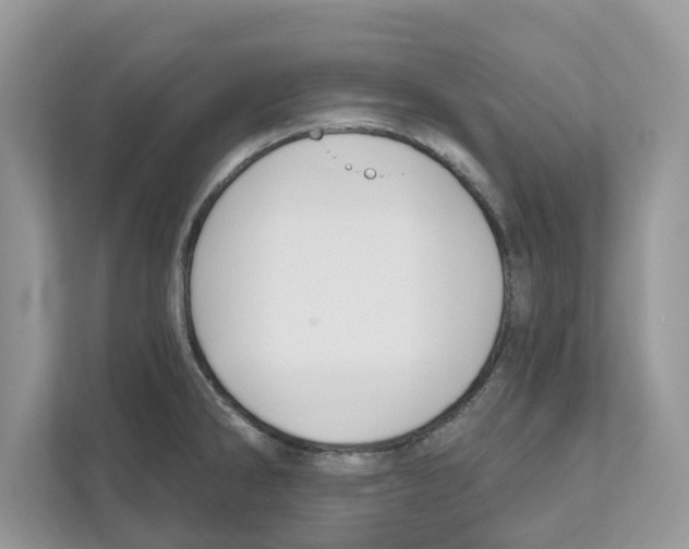 X0000110921286200907161511