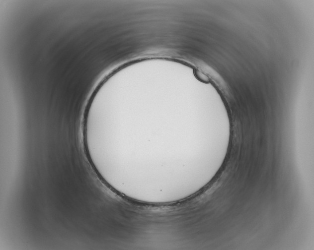 X0000110921288200907161511