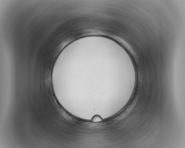 X0000110921289200907161511