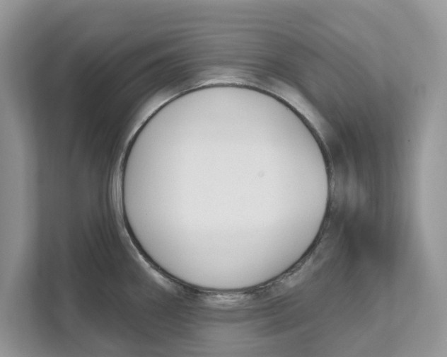 X0000110921290200907161511