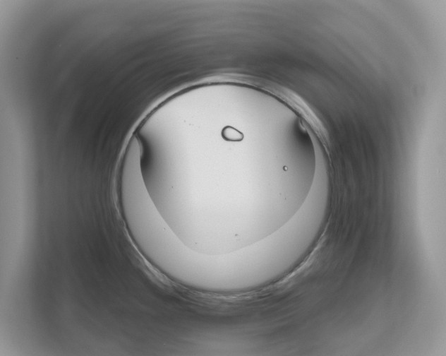 X0000110921292200907161511