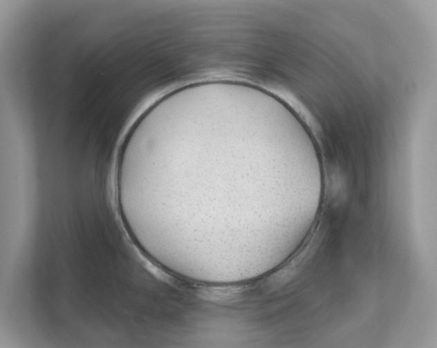X0000110921294200907161511
