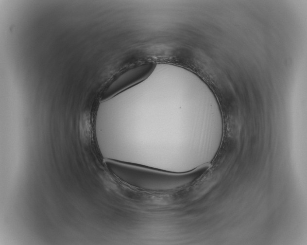 X0000110921298200907161511