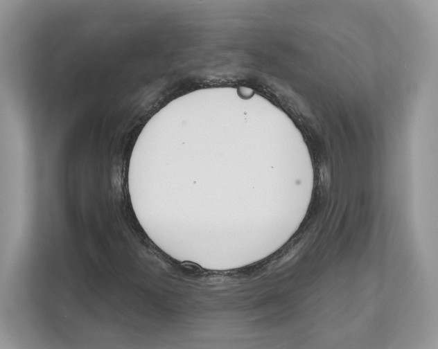 X0000110921300200907161511