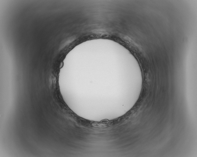 X0000110921302200907161511