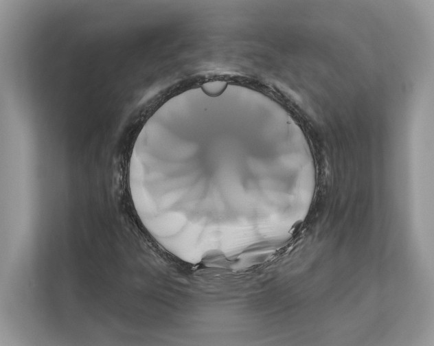 X0000110921303200907161511