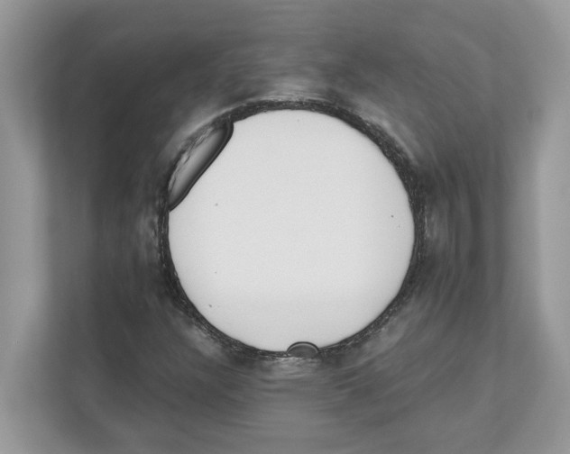 X0000110921304200907161511