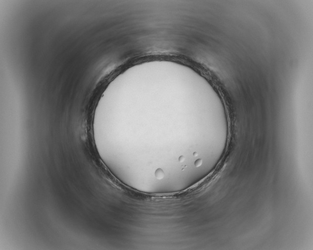 X0000110921306200907161511