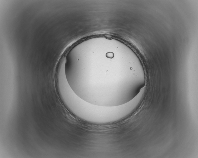 X0000110921308200907161511