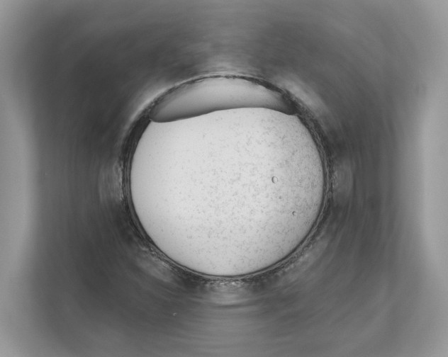 X0000110921310200907161511