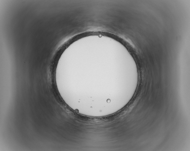 X0000110921311200907161511