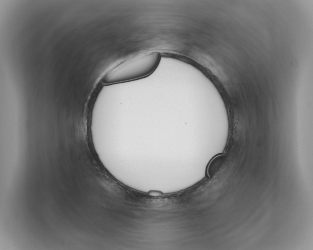 X0000110921316200907161511