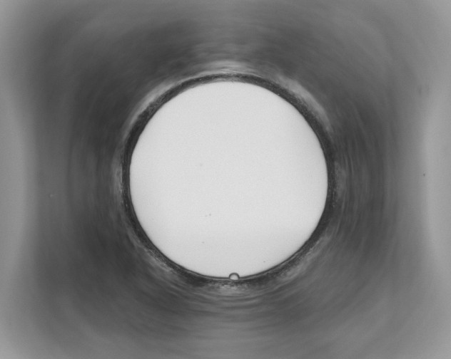 X0000110921318200907161511