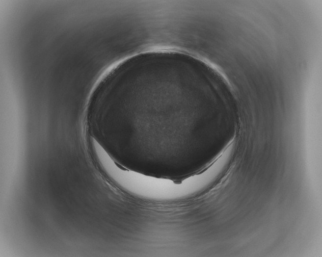 X0000110921319200907161511