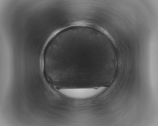 X0000110921323200907161511