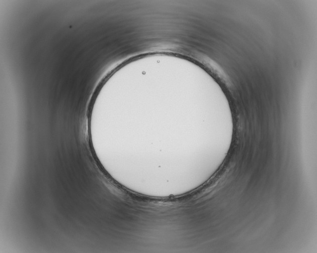 X0000110921324200907161511