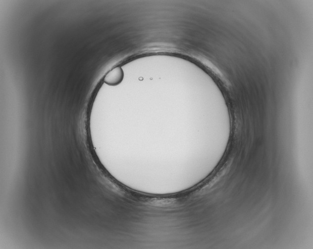 X0000110921325200907161511