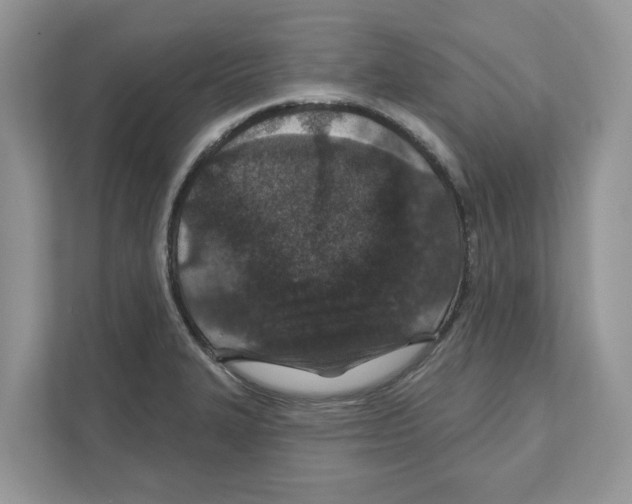 X0000110921327200907161511
