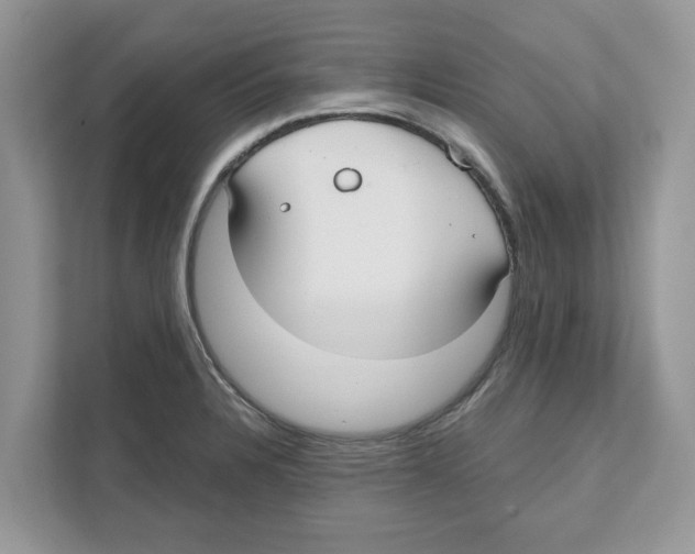 X0000110921328200907161511
