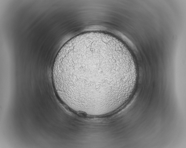 X0000110921329200907161511