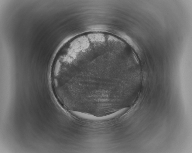 X0000110921331200907161511