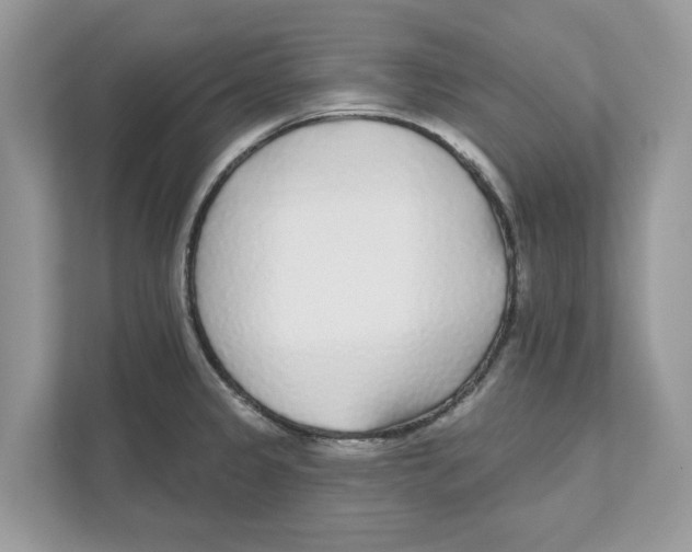 X0000110921333200907161511