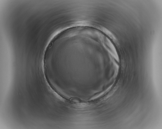 X0000110921334200907161511