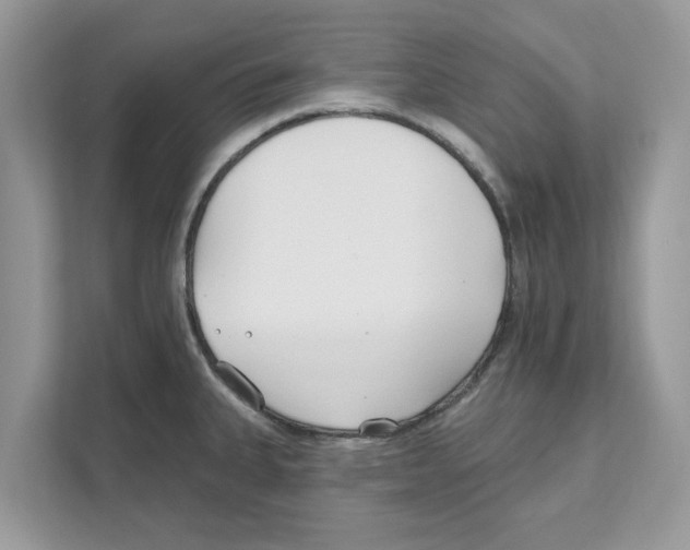 X0000110921335200907161511