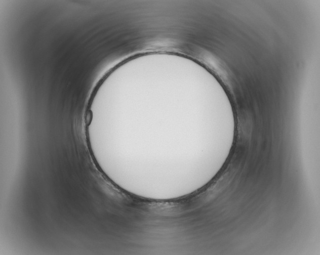 X0000110921336200907161511