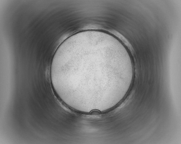 X0000110921337200907161511