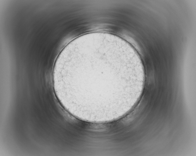 X0000110921338200907161511