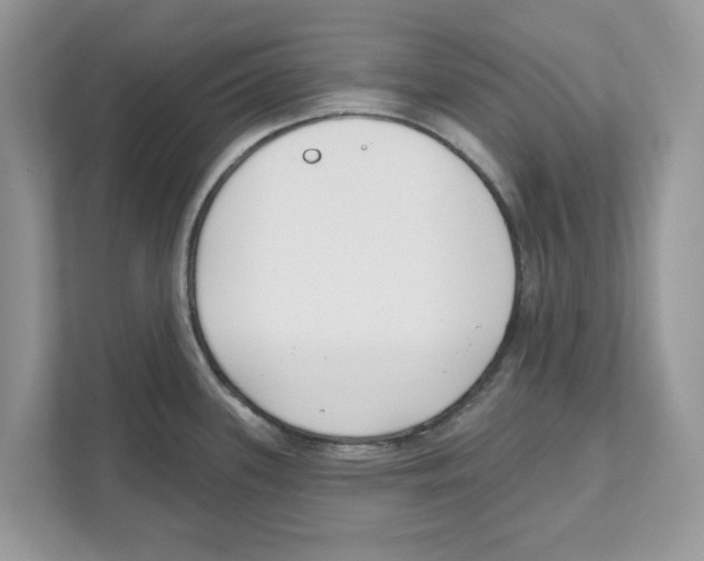 X0000110921339200907161511
