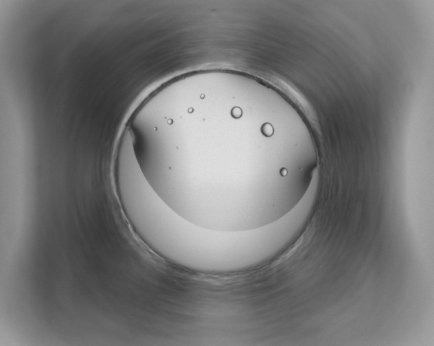 X0000110921340200907161511