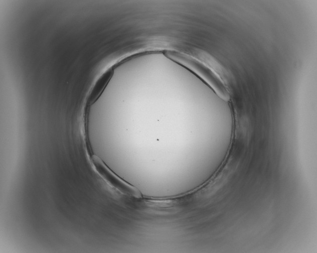 X0000110921342200907161511