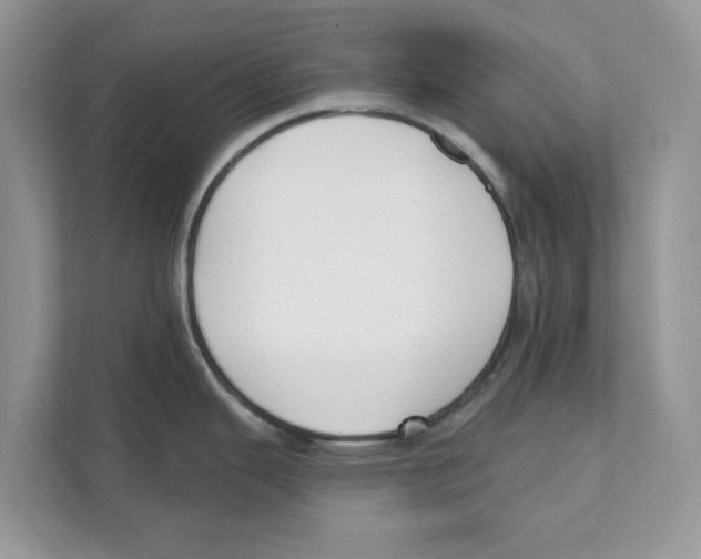 X0000110921343200907161511