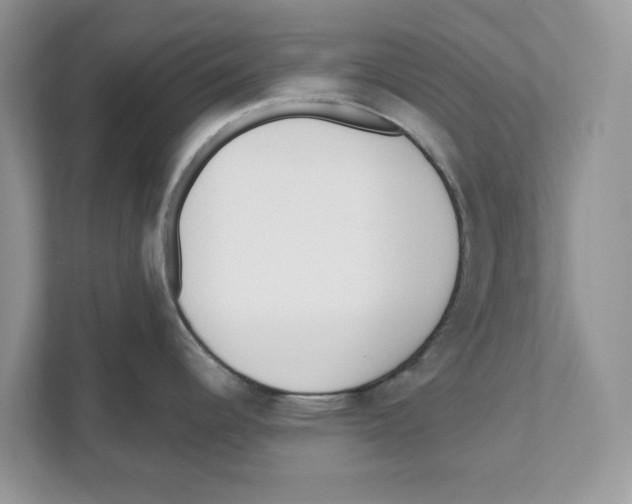 X0000110921344200907161511