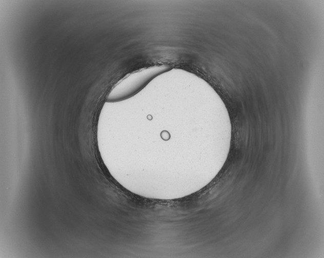 X0000110921345200907161511