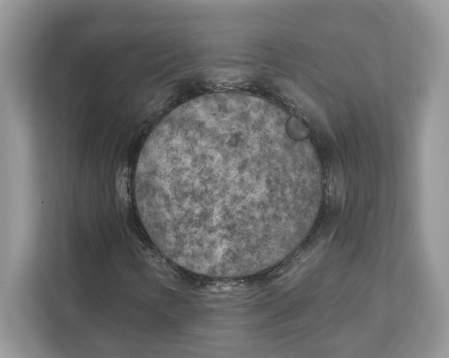 X0000110921346200907161510