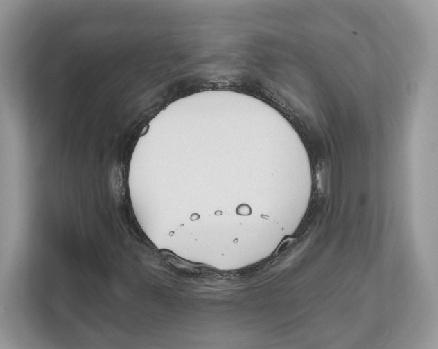 X0000110921347200907161510