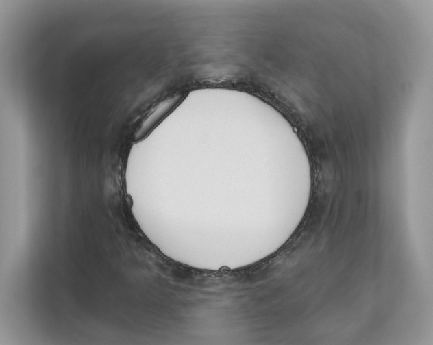 X0000110921349200907161510