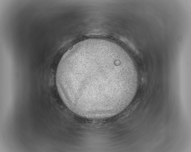 X0000110921350200907161510