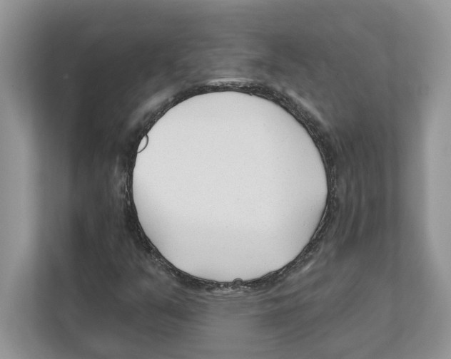 X0000110921351200907161510