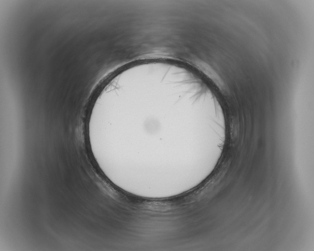 X0000110921356200907161510