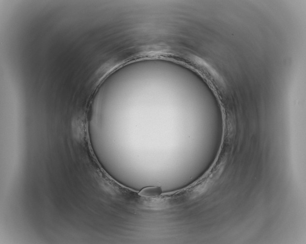 X0000110921361200907161510